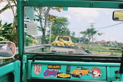 wisata bali rental mobil.jpg