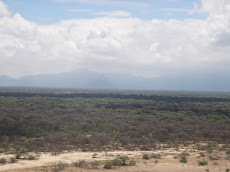 Santuario Bosque de Pomac