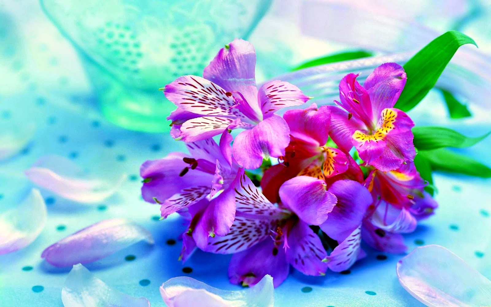 Download Wallpaper Gambar  Bunga  Cantik  HD