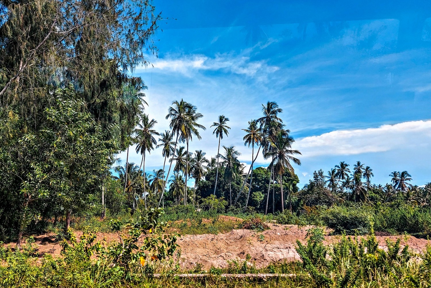 Ile kosztuje wiza na Zanzibarze?