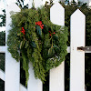 What Is A Christmas Swag - Christmas Swag Christmas Greenery The Home Depot - Christmas swag with lots of color.