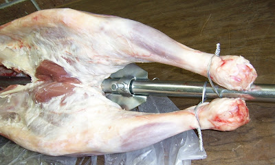 Lamb on spit preparation