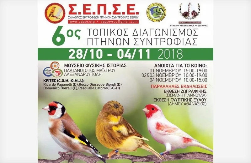 Διαγωνισμός Πτηνών Συντροφιάς στο Μουσείο Φυσικής Ιστορίας Αλεξανδρούπολης
