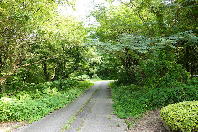 鳥取県西伯郡大山町赤松　別荘地の道
