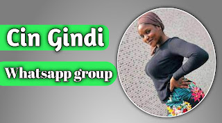 Cin Gindi Whatsapp group link