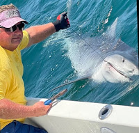 large Tiger shark being caught by Russell's Coasting Fishing charter boat