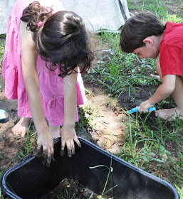 Camp Mom - Summer Activities for Kids. Nature Day