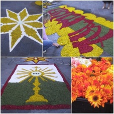 PL IN FIORE 1