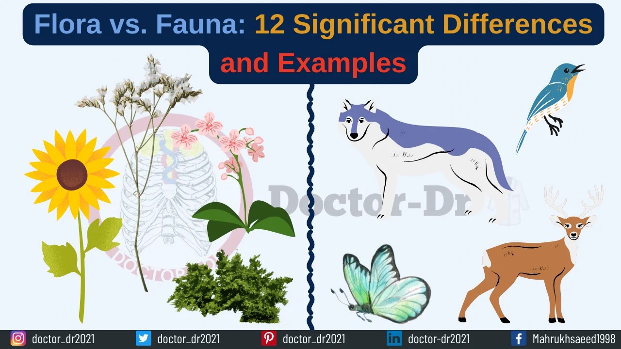 Flora vs. Fauna: 12 Significant Differences and Examples
