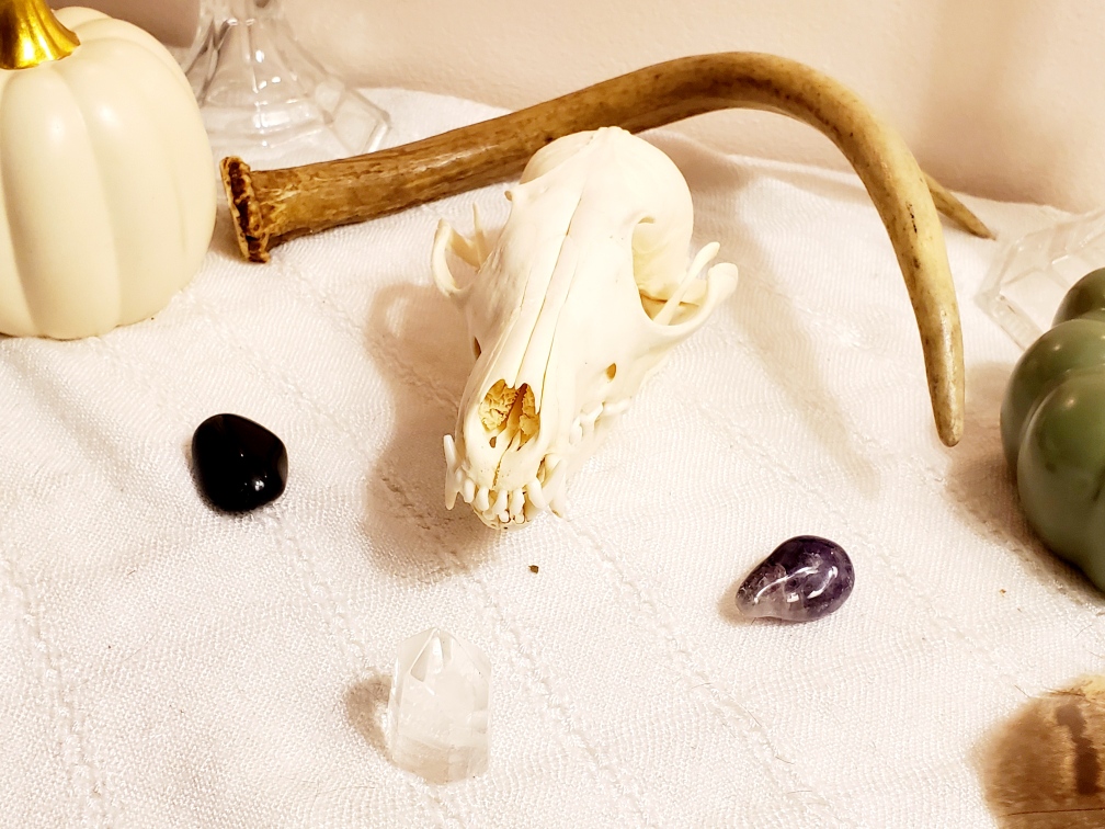 altar, sabbat, Samhain, Halloween, witchcraft, witchy, hedgewitch, pagan, neopagan, wiccan, wicca