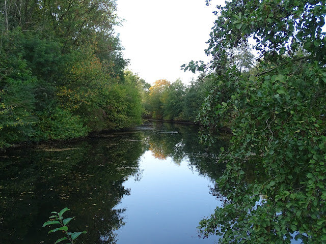 automneparcduhéronvilleuvedascqhautdefrance