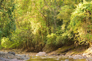 Rio Viejo, Puriscal, Costa Rica