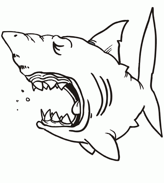 Top 10 Free Monster Shark Attacking Coloring Pages