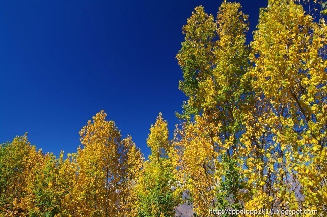 2010-10-24__1302-56_0031__Paul3