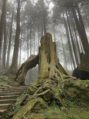 嘉義,阿里山,眠月線,沼平車站