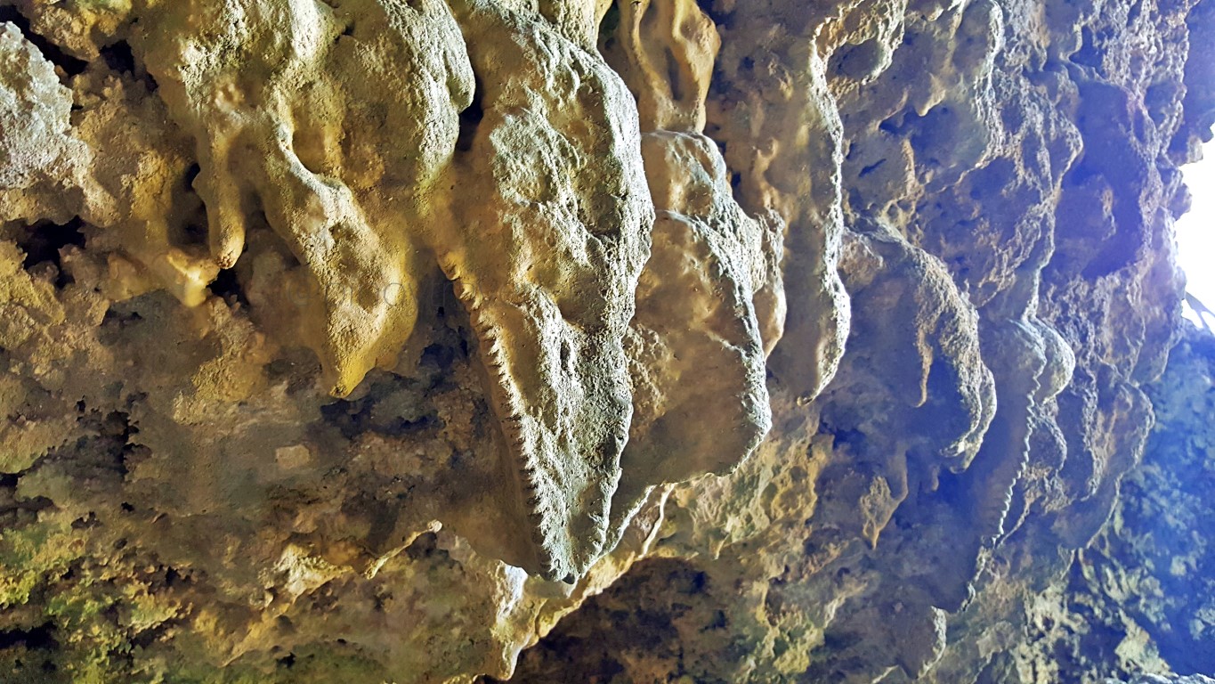 cave-walls with a lot of fossilized matters at Canhugas Nature Park in Hernani Eastern Samar