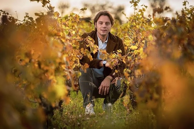 Viticoltura del Sud Italia: l’enologo Jacopo Vagaggini punta sulla ricchezza dei vitigni autoctoni e il loro adattamento al global warming