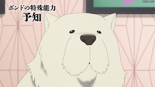 スパイファミリーアニメ 2期2話 ボンドの生存戦略 SPY x FAMILY Episode 27