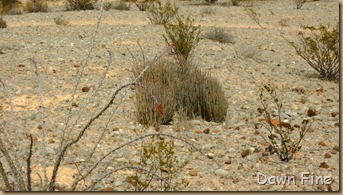 Crystal trail_030