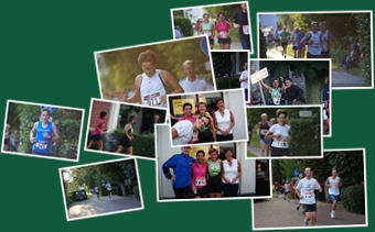 Collage Vechtloop(blog) weergegeven