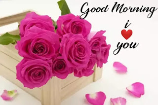 I love you good morning images