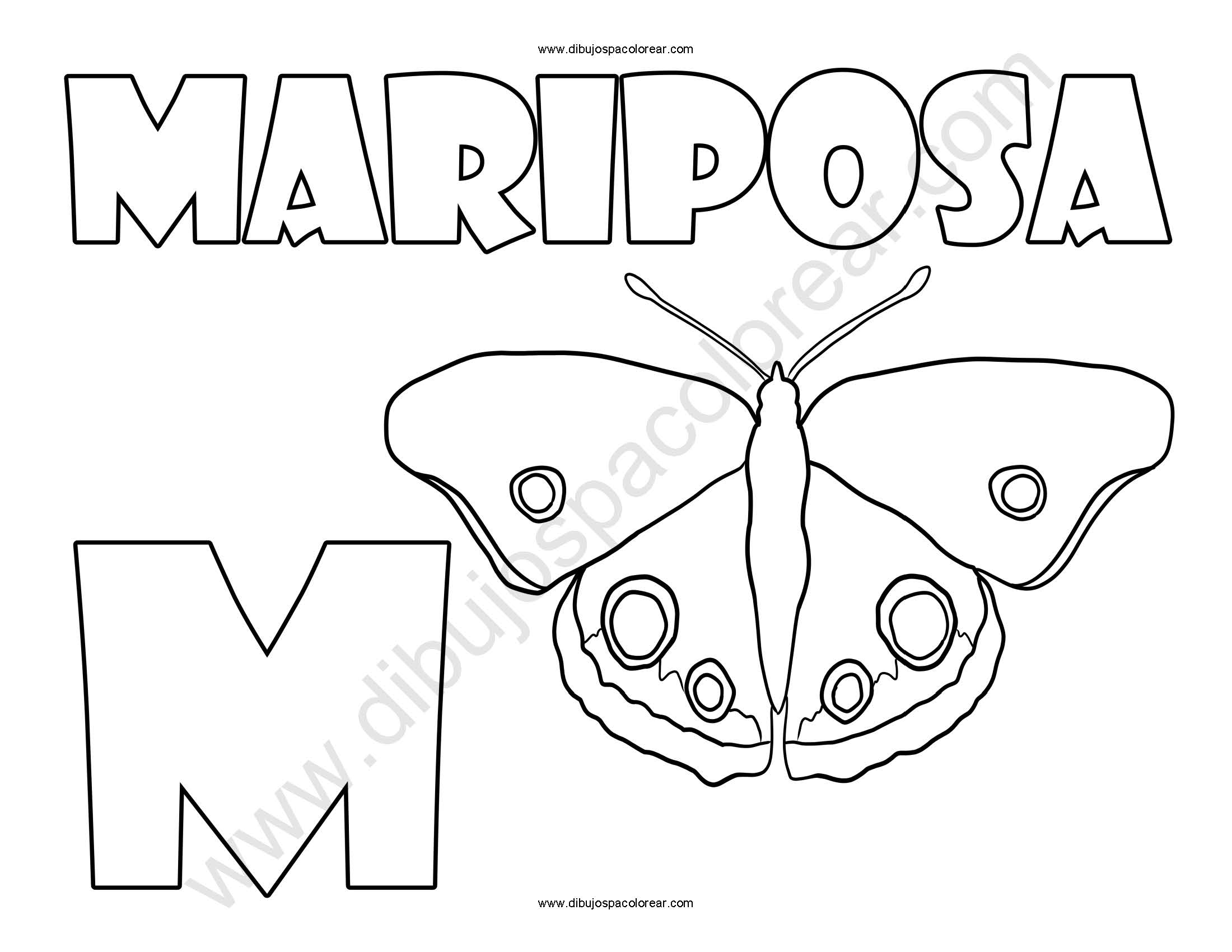 Mariposa letra M abecedario dibujo a color y para colorear