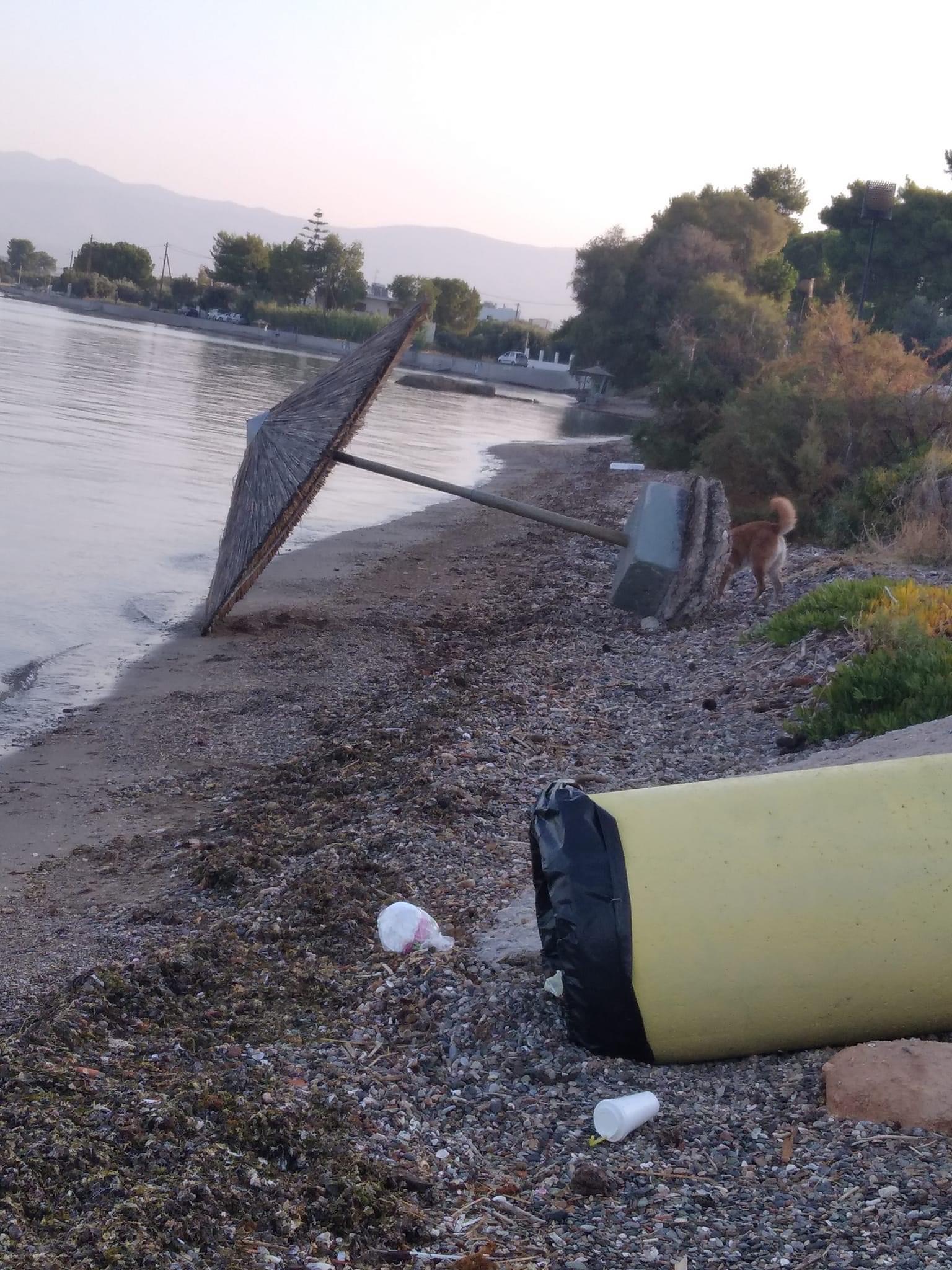 απογοητευτικό θέαμα σε παραλία στη Χαλκίδα