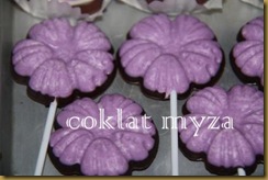 Coklat Myza 19.3.2011 016