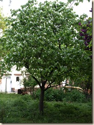 P5094487