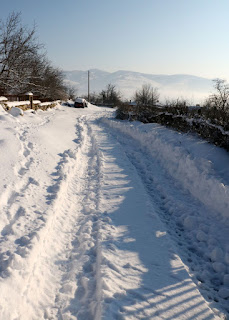 This year the tractor cleared to our gate