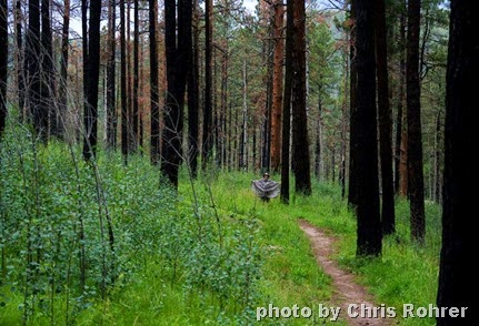 11. greer, az 8-3-13 Chris R photographer