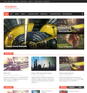 download awaken template wordpress responsive gratis