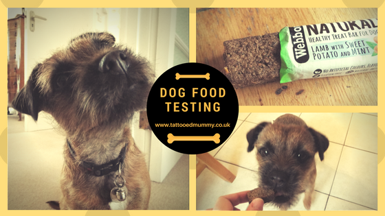 title image collage with border terrier looking up, dog eating, and a dog snack