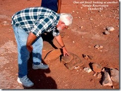 Dinasaur Fossil1[1]