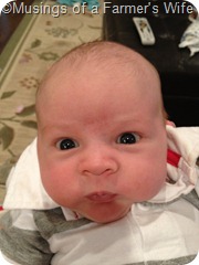 photo(13)