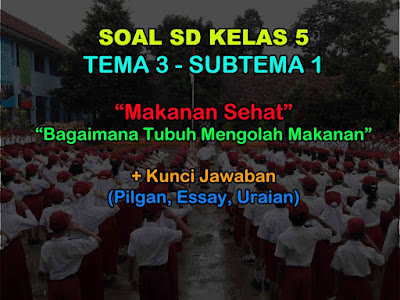 Soal Tema 3 Kelas 5 Semester 1 Kunci Jawaban Makanan Sehat 