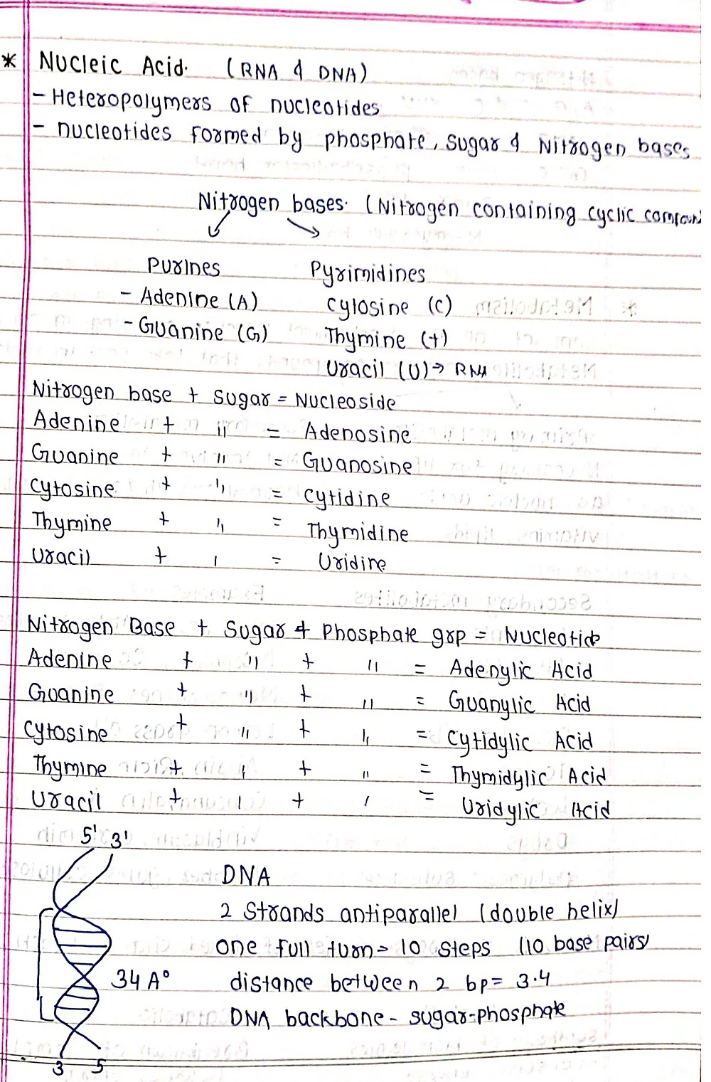 Biomolecules - Biology Short Notes 📚