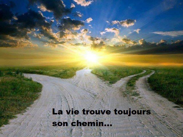 Citations Option Bonheur Citation Sur Les Chemins De La Vie