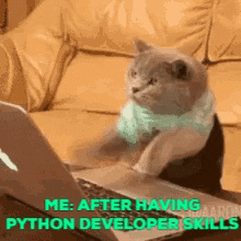Python Developer skills gif