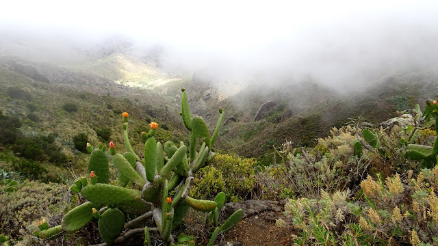 Looking into the Masca Valley Mist drifting across the Teno Mountains Tenerife