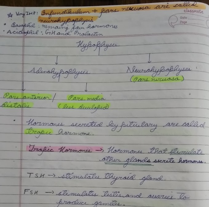 BIOLOGY KOTA NOTES | Made By Toppers | Handwritten Notes