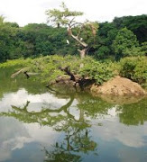 ECOPARQUE LAGO DE LAS GARZAS, un lugar para relajarte y compartir con la naturaleza