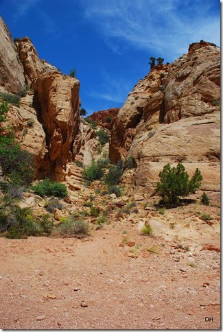 05-22-14 Capital Reef NP (180)