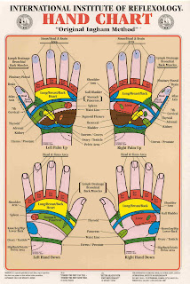 Hand Massage Reflexology Chart