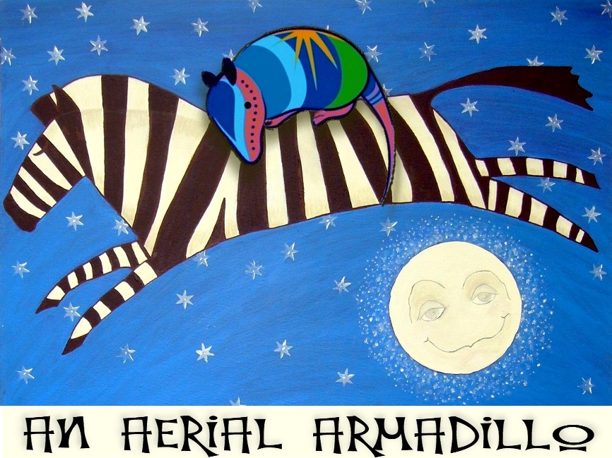 AN AERIAL ARMADILLO