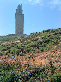 Flower and Tower   Sprint in Tower of Hercules (Corunna, Spain)   by E.V.Pita   http://evpita.blogspot.com/2011/05/flower-and-tower-flores-torre-de.html   Flores + Torre de Hércules  (Primavera en Torre de Hércules, A Coruña)  por E.V.Pita