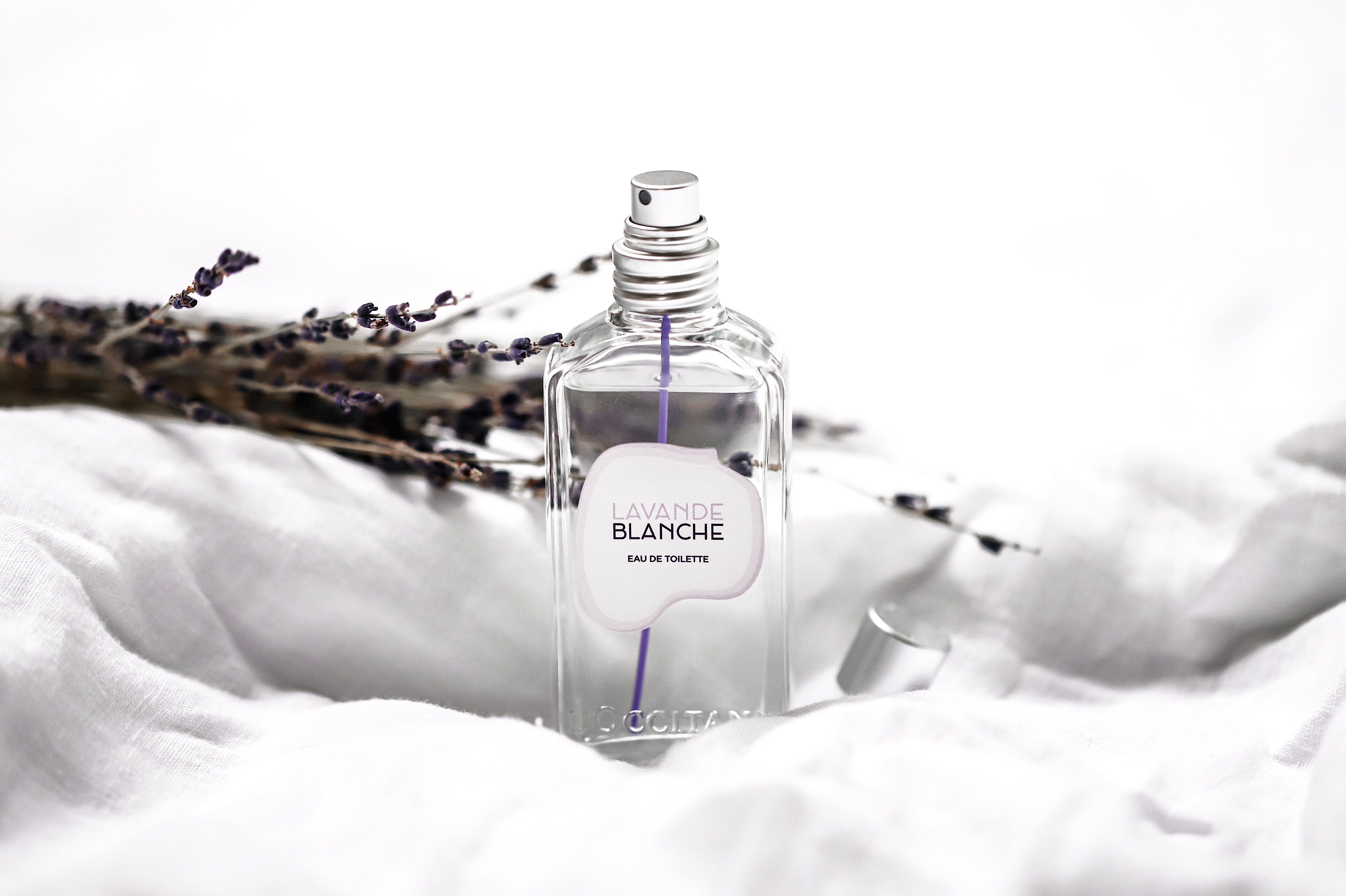 L'Occitane Lavande Blanche parfum