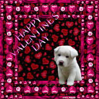 puppy wishing happy valentines day