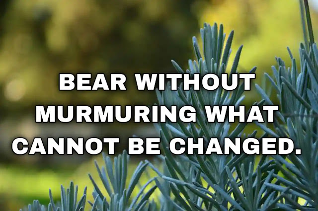 Bear without murmuring what cannot be changed.