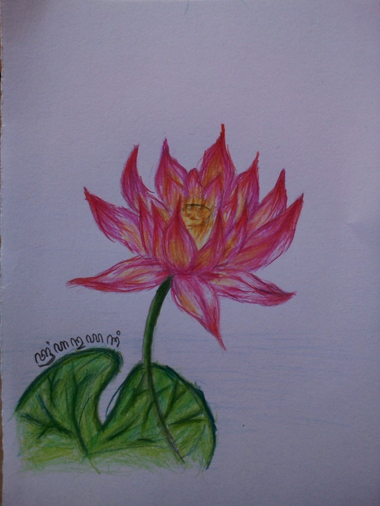 Sketsa Gambar Bunga Lotus Garlerisket
